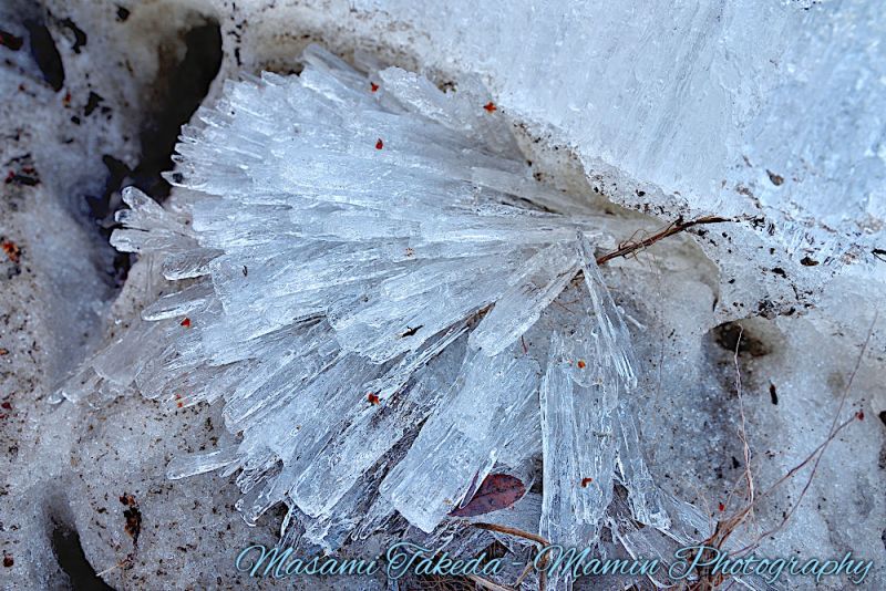 File:North Saskatchewan River with ice crystal Edmonton Mamin Photo.jpg